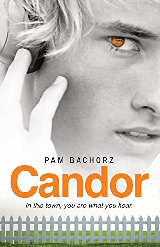 Candor view 2