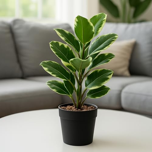 Image of Habere India-All the Cultures Fabricating India Artificial Plant with Pot for Home Decor | Fake Plants for Living Room Decoration | Artificial Plants for Decoration (Design 03; L22 x W17 X H38 cm)