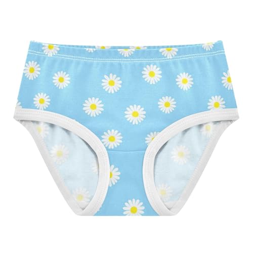 Cotton Girls Underwear Toddlers Daisy Flowers Sky Blue Panties for Girl Florals Kids Briefs Undies 2t