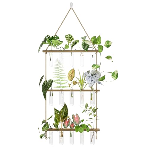 Bamworld Propagation Station with 3 Tier Wooden Stand 15 Glass Tubes for Plant Cuttings Wall Mounted Propagators for Plants Plant Propagation Station and Wall Plant Holder for Home Office Decoration