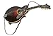 Walker & Williams M-41 Chestnut Brown Leather Mandolin Strap For A or F Types