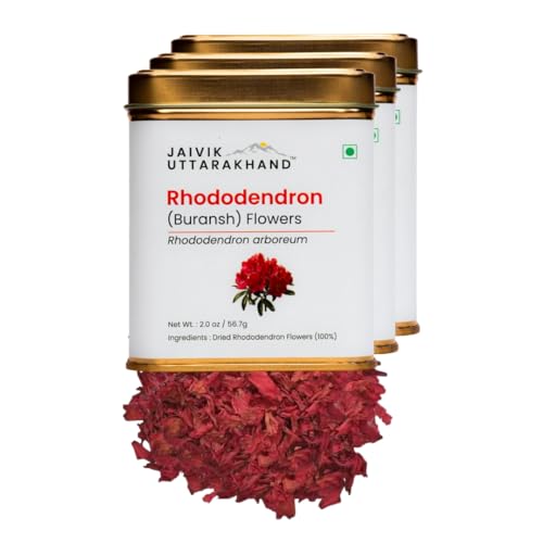 Image of Jaivik Uttarakhand Rhododendron (Buransh) Tea 170.1 g, Dried Loose Leaf Red Flower, Sweet, Tangy Floral Taste, Pack of 3 Tin Can