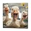Funny Duck Baby