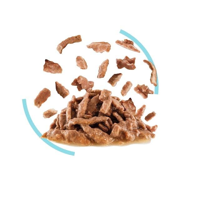 Royal Canin Sensory Feel Nassfutter in Soße für wählerische Katzen | 4er Pack | 4 x 12 x 85 g | Die besondere Textur kann dabei helfen das Mundgefühl von Katzen anzuregen
