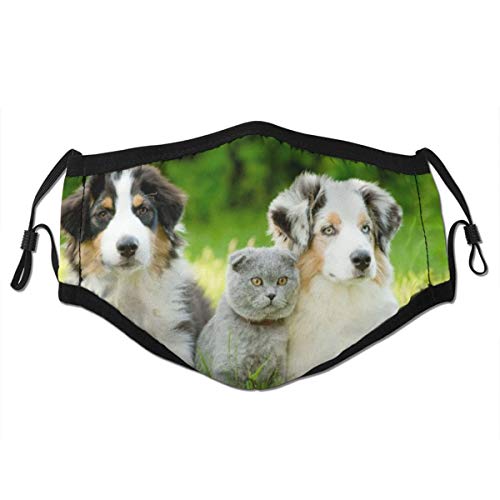 Preisvergleich Produktbild AIKIBELL Wiederverwendbares Halbtuch Bandana,Nette Haustiere Welpenfamilie im Garten Australische Schäferhunde und ein Katzenszenenhund,Einstellbare Sport Outdoor Mundabdeckung