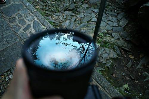 Season 5, Episode 9: Having An Attentive Heart at New Year with Stephanie Kaza