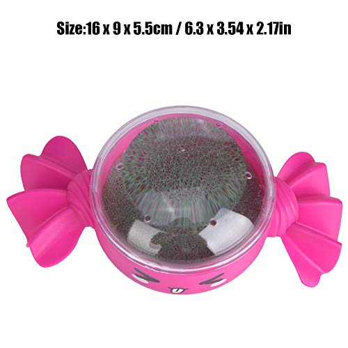 Kit de jardim de sementes não tóxico, prato de cultivo de sementes, amigos simples para casa