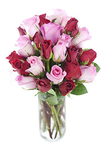 KaBloom-24 Red&amp;Pink Rose Bouquet, Flowers for Valentine, Mother's Day