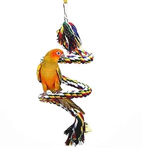 Futurekart Parrot Bird Toys Natural Colorful Rope Bungee Climbing Ropes Swing Chewing Toys – Lengh 1m
