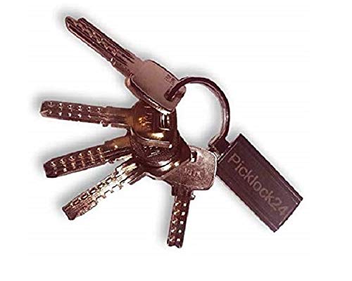 Picklock24 Juego de llaves maestras multipunto válidas para cerraduras de España II