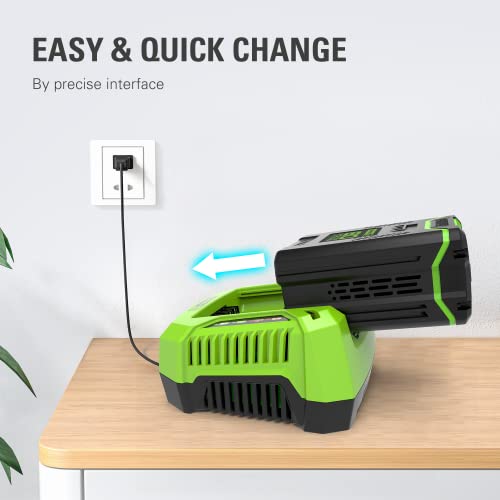 Image of Greenworks PRO 80V Lithium Ion Single Port Rapid Battery Charger GCH8040