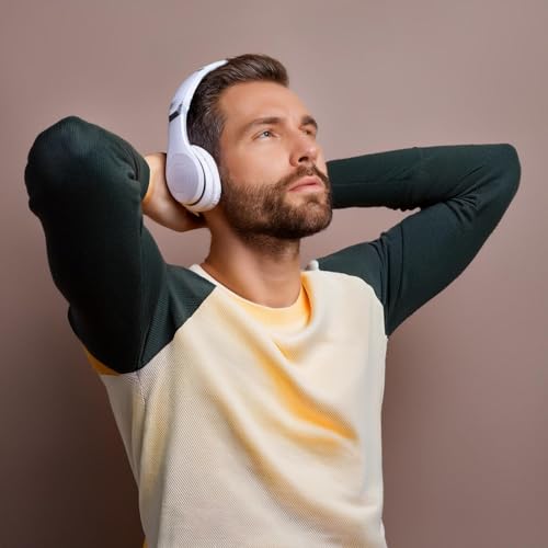 Proyecto de ruido neuronal