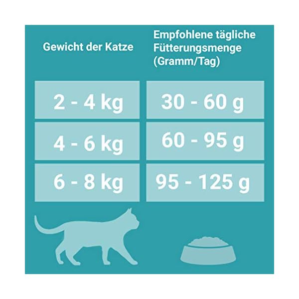 PURINA ONE BIFENSIS Urinary Care Katzentrockenfutter: reich an Huhn & Weizen, für gesunde Harnwege, Nieren, Haut, schönes Fell, 6er Pack (6 x 1.5 kg) – Bild 8