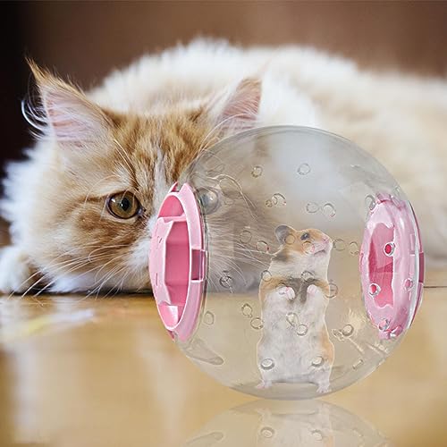 bola corrida hamster,Bola roda para brinquedos exercício hamster anão - Brinquedos exercício para ha