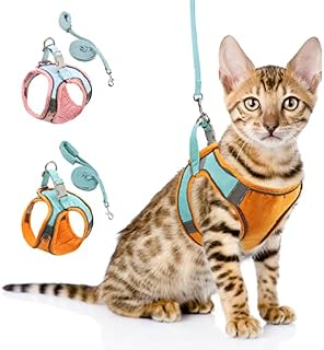 Brifit Escape-Proof Cat Harness and Leash Set for Walking, Adjustable Reflective Vest Harness, Puppy Harness and Lead Set, Walking Jacket Running Cushioning Vest for Small Cats, (XXS Orange)