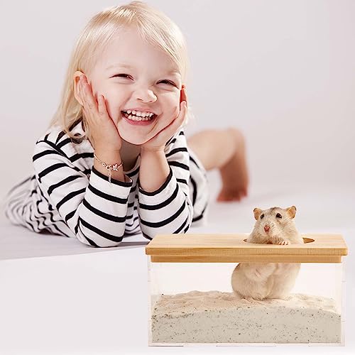 Disnace Sandbad Hamster, Haustier Badewanne, Hamster Toilette, Abnehmbarer Hamster, Sand Badezimmer, Behälter Kleintier Sauna Sandkasten für Hamster Meerschweinchen Frettchen Gerbil Chinchilla (M)
