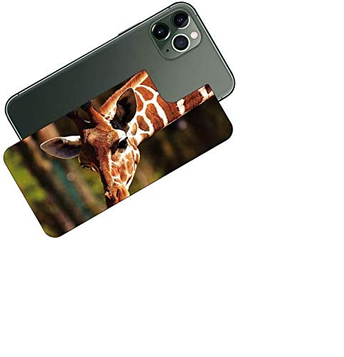 ClearView Apple iPhone 11 Pro MaxΉ wʕیtB vg (L)