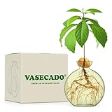 Vasecado