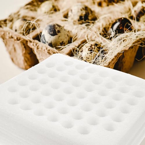 Soporte para huevos de codorniz protector con 52 huecos y bandeja de espuma para cocina 6