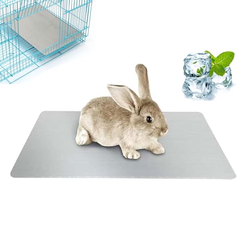 Cerioll Tapis de Refroidissement pour Lapin, Tapis de Refroidissement pour Animaux de Compagnie, pour Lapin Chiot Chaton Cochon d'Guinée Chat (30x20cm)