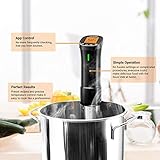 Zoom IMG-2 inkbird wifi sous vide roner