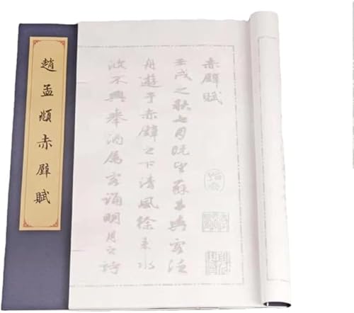 No Ink Chinese Calligraphy Set,1pc Copybook Running Script Shou Jinti Traditional Practice