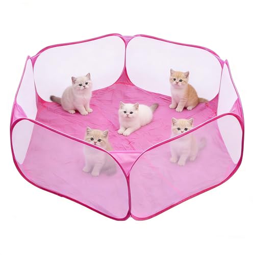 Box per animali domestici di piccola taglia, 120 x 120 x 38 cm recinto per cani da interno Trasparente Recinzione per Gatti, Criceto, Furetti, Cincillà, Conigli, Ricci