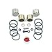 Motorcycle Front Brake Caliper Rebuild Seal & Piston Kit for select Triumph models by Brakecrafters BCF29NP