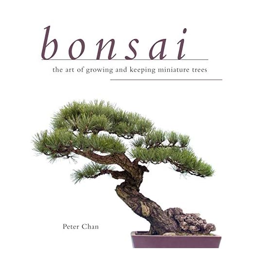 Bonsai: The Art of Growing and Keeping Miniature Trees