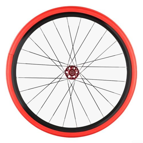 Almohadilla de protección de neumáticos de EVA para bicicleta de montaña, compatible con neumáticos sin cámara de hasta 29 pulgadas para reducir la vibración y un mejor agarre (B)