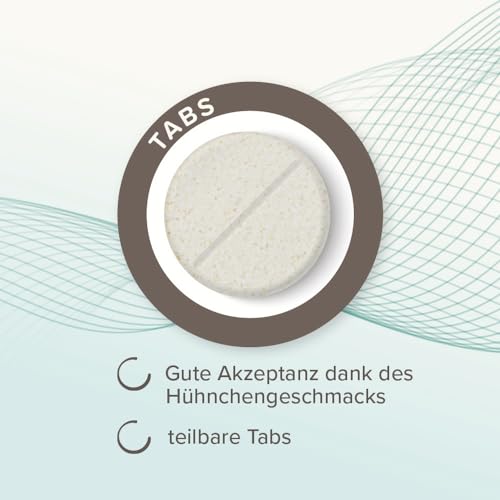 BEAPHAR - IntestoPro Tabs Für Große Hunde - Mit Zeolith - Mit MOS & FOS - Unterstützt Das Gleichgewicht Der Darmfunktion - 20 Stück