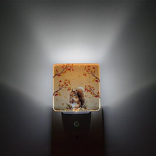 Image of Night Light Plug in LED Night Lamp Automatic Sensor Kids Night Lights Plug into Wall, Thanksgiving Fall Autumn Squirrel Maple Leaves Fall Square Night-Lights for Bedroom Bathroom Kitchen Hallway Decor