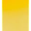 226 Cadmium Yellow Deep
