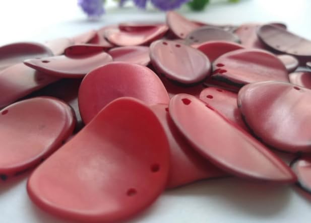 20 Red Slices Curved - Nail Shape from Colombia Rainforest. Top drilled Two Holes. Size: 2-2.5 x 2-2.5 cm R-1041