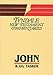 John (Tyndale New Testament Commenta)