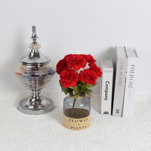 INSUNSIX Red Carnations Artificial Flowers 15 Heads Silk Carnations with Stems White Fake Flower for DIY Wedding Bridal Bouquets Table Centerpieces Floral Arrangements Home Party Decoration (Red