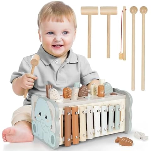 DINORUN Jouet Montessori 4 en 1 Cover