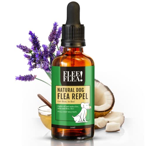 Top 10 Dog Flea And Tick Medications of 2023 Best Reviews Guide