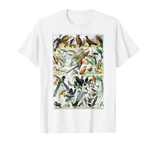 Bird Nature Birding Watcher Ornithology chart Types of birds T-Shirt