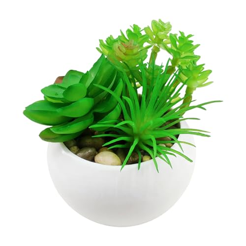 Image of KARP Artificial Potted Plants, 12Cm Height Mini Faux Succulent Flowers with White PVC Pots Home Decor, Artificial Ornamental Plant for Living Room, Office Desk & Bathroom, Decorative