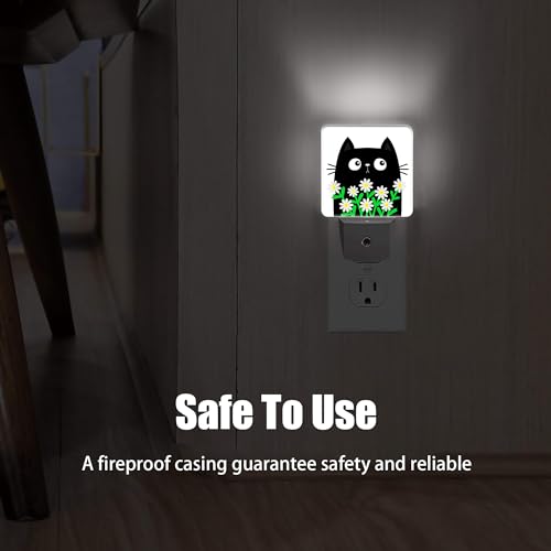 Image of Cat Kitten Daisy Night Light, Camomile Bouquet Plug into Wall with Dusk to Dawn Light Sensors, Warm Nightlights for Bedroom, Bathroom, Hallway, Kitchen, Gifts Ideal for Women Men