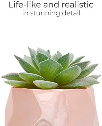 Nordik Set of 4 Desk Plants in Rose Gold - Office Decor for Women, Indoor, Living Room, Bedroom, Home and Desk Decor  Pink Faux Succulents Geometric Ceramic Planters