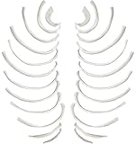 Disarticulated Rib Bones, Full Set - 24 Bones - Anatomically Accurate Human Rib Bones Right and Left Model Replica - hBARSCI