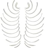 Disarticulated Rib Bones, Full Set - 24 Bones - Anatomically Accurate Human Rib Bones Right and Left Model Replica - hBARSCI