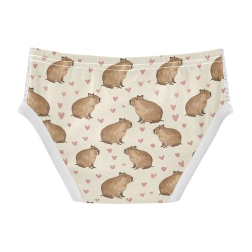 Boys' Exclusive Briefs Toddler Underwear 95% Combed Cotton Boxerbriefs 2T Capybara and Heart Pattern 72