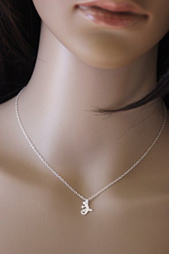 Collier argent massif pendentif lézard salamandre, chaîne pendentif totem - 4