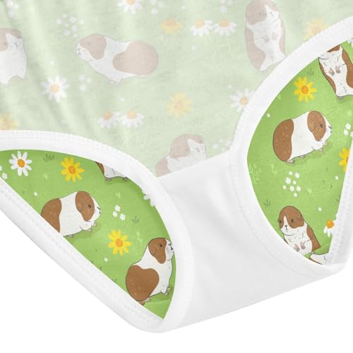 Girls' Underwear Guinea Pig Cotton Stretch Comfort Toddler Panties 5