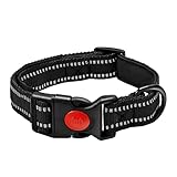 collar perro gps Collar perros lleva buenos acabados, la disponibilidad de colores es atrayente y muy fácil de limpiar y se me ha secado rápido con frío.