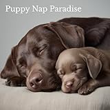 Photo Gallery wagging tails for fun