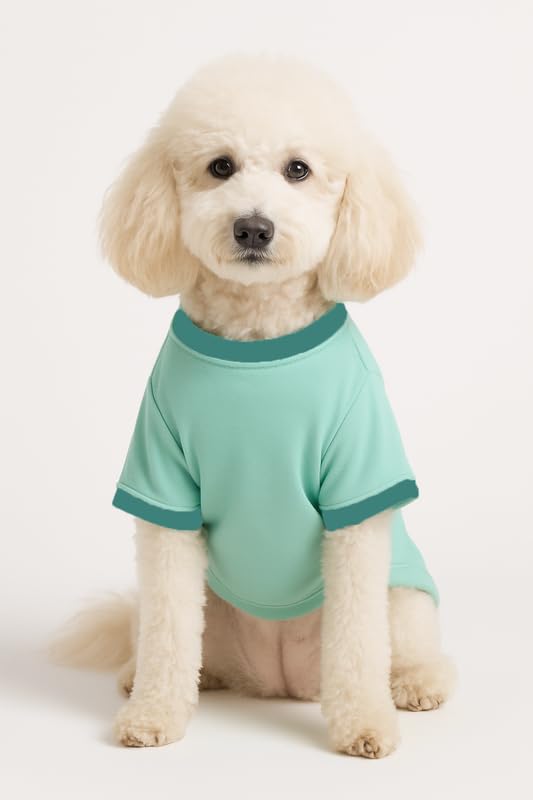 Image of Thunder Tails Cotton Adjustable Dog T-Shirt | Soft Breathable Pet Clothing for Small Dogs & Puppies | Ideal for Pekingese, Maltese, Mini Breeds | Comfortable Puppy Outfit (Aqua, S)
